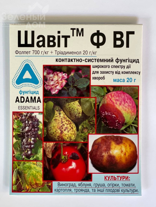 Шавіт Ф / Shavit F, ВГ фото 2