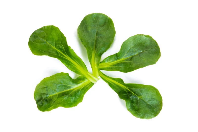 Вейрон / Veyron фото 3