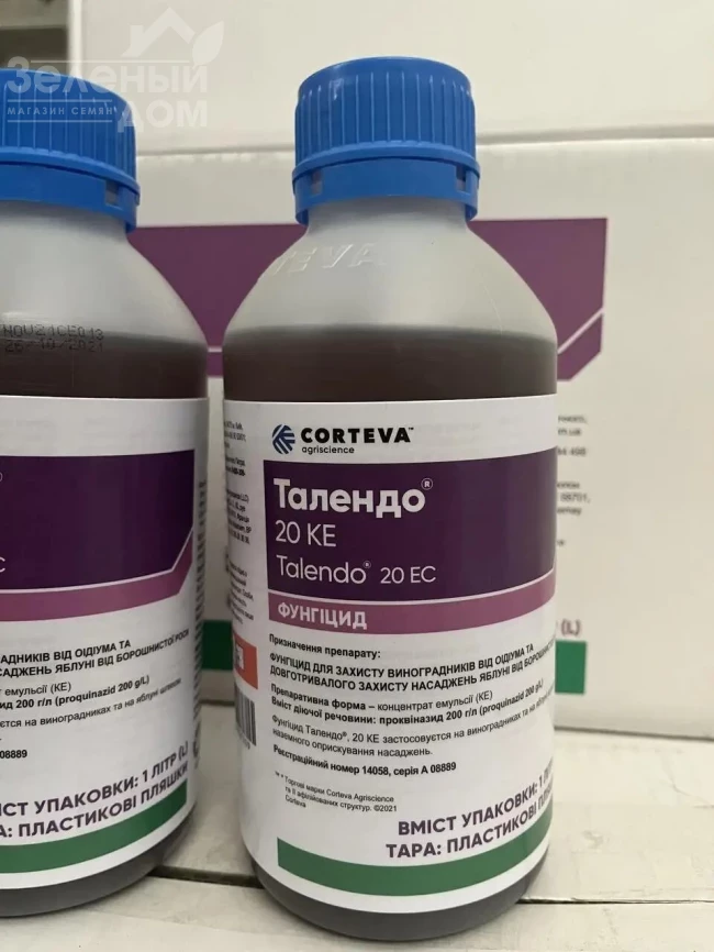 Талендо КЕ / Talendo KE фото 1