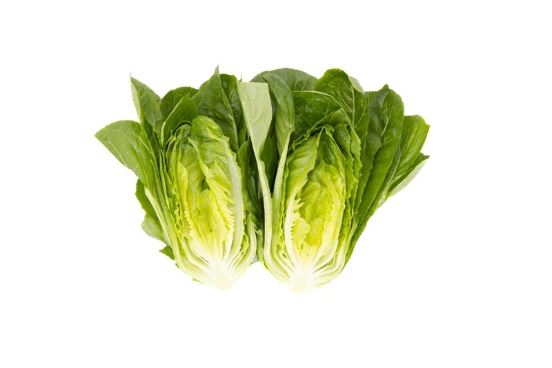 Рабелло / Rabello фото 3