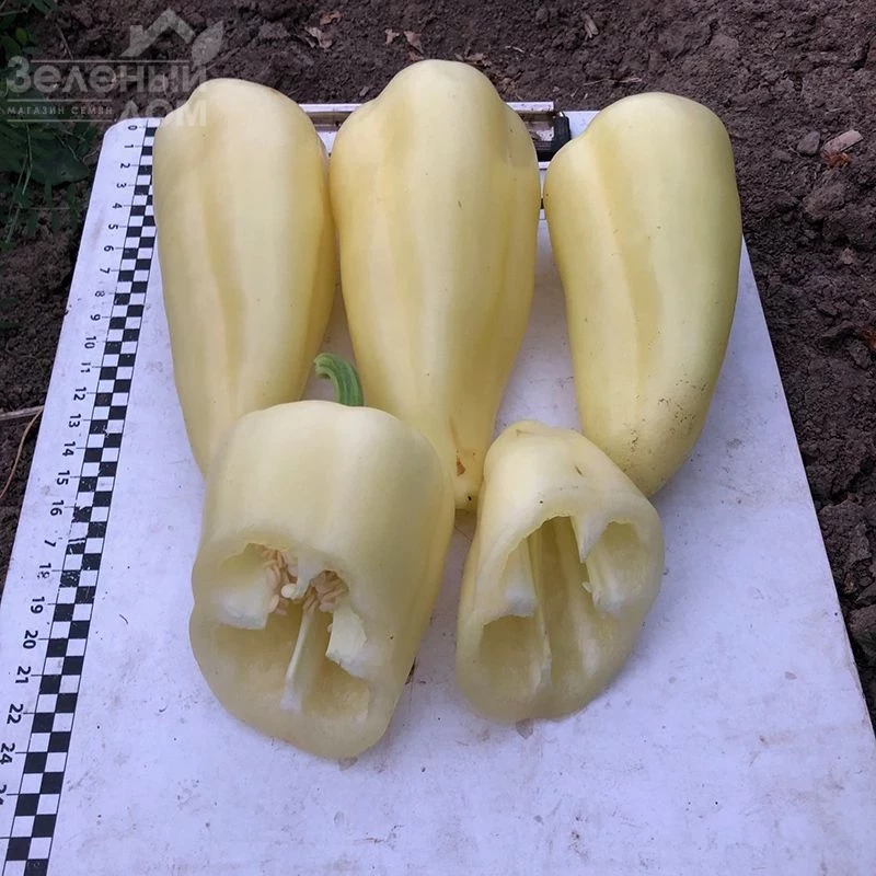 Бора F1 / Bora F1,50 дней фото 3