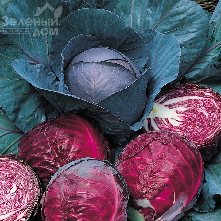 Редма F1 / Redma F1,80 днів фото 3