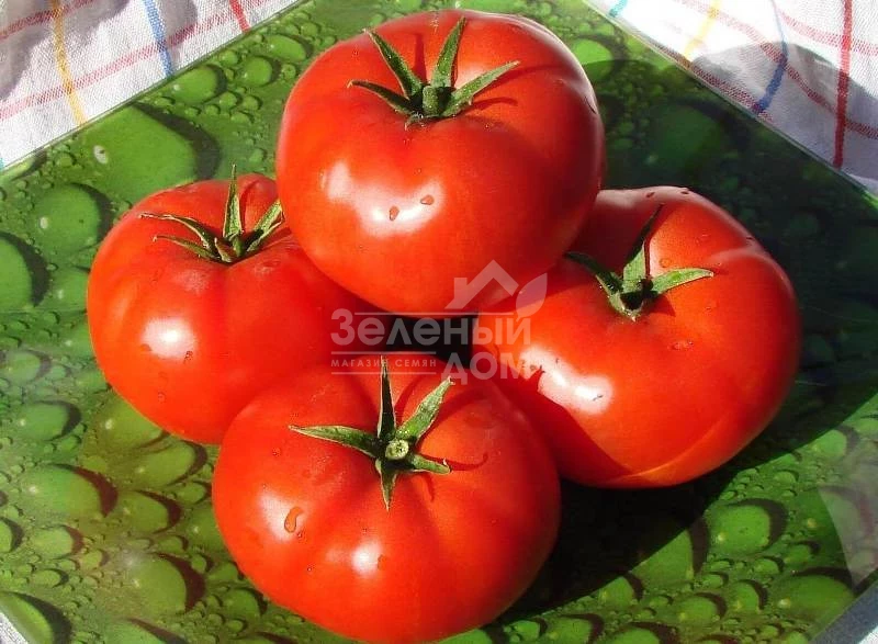 Бобкат F1 / Bobcat F1,60-65 дней фото 1