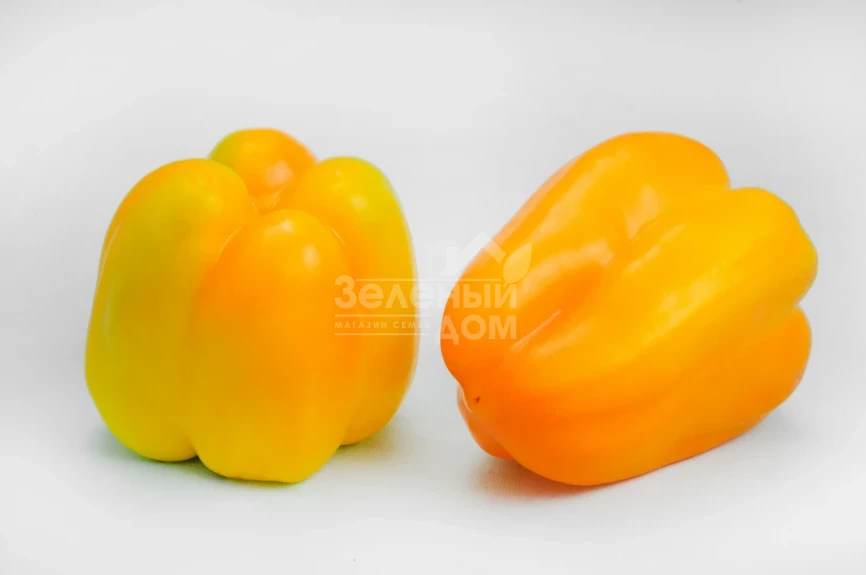 Турмалин F1 / Turmalin F1,70-75 дней фото 1