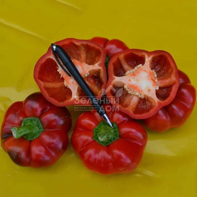 Ред Булл F1 / Red Bull F1,70 дней фото 4