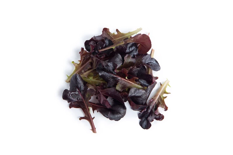 Боттас / Bottas фото 1