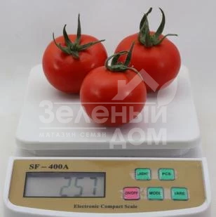 КС 134 F1 / KS 134 F1 фото 1