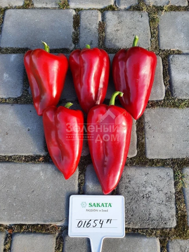 Ред Феррари F1 / Red Ferrari F1 фото 1