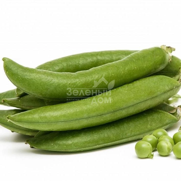 Амалфи / Amalfi фото 1