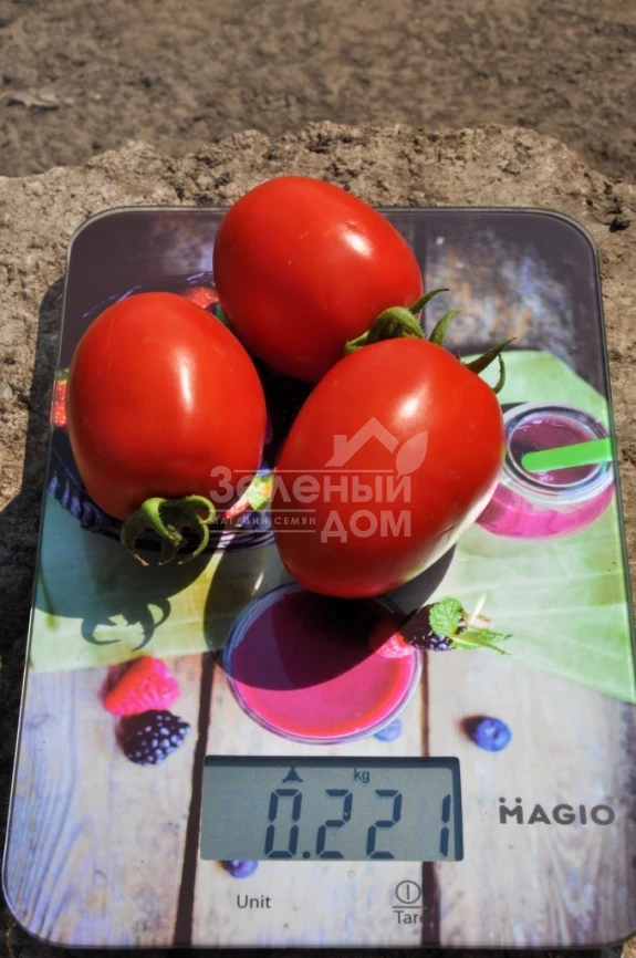 Салерно F1 / Salerno F1, 110-115 дней фото 1