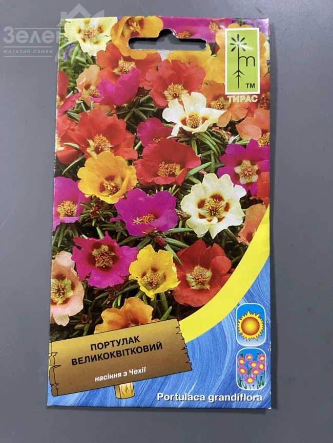 Портулак великоквітковий  фото 1