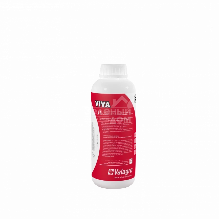 Вива / Viva фото 1