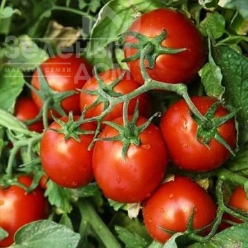 КС 390 F1 / KS 390 F1 фото 1