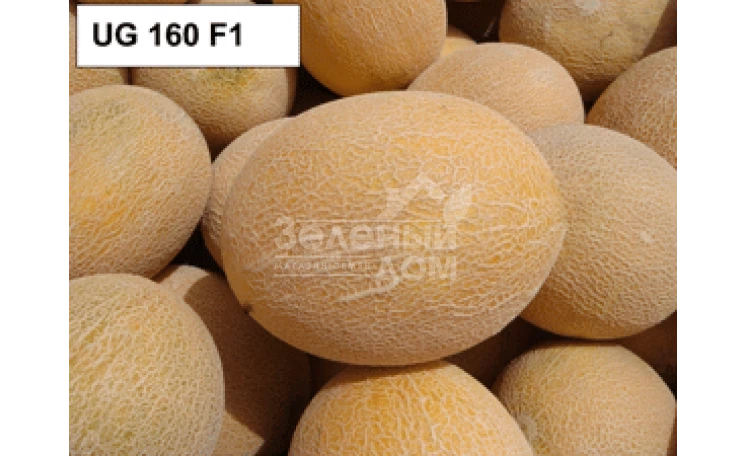 ЮГ 160 F1 / UG 160 F1 фото 1