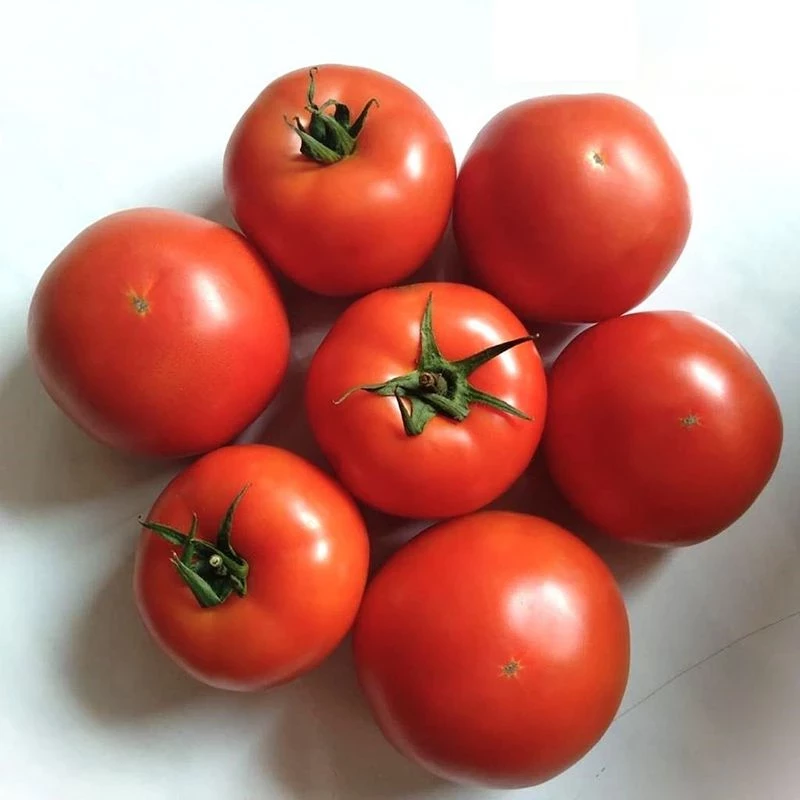 Геликаз F1 / HelikazF1 фото 1