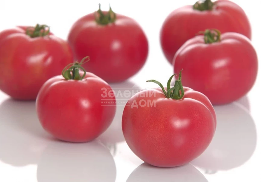 Пинк Мун F1 / Pink Moon F1 фото 1