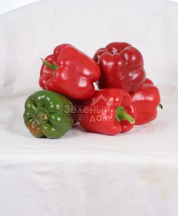 Геркулес F1 / Hercules F1,75 дней фото 1