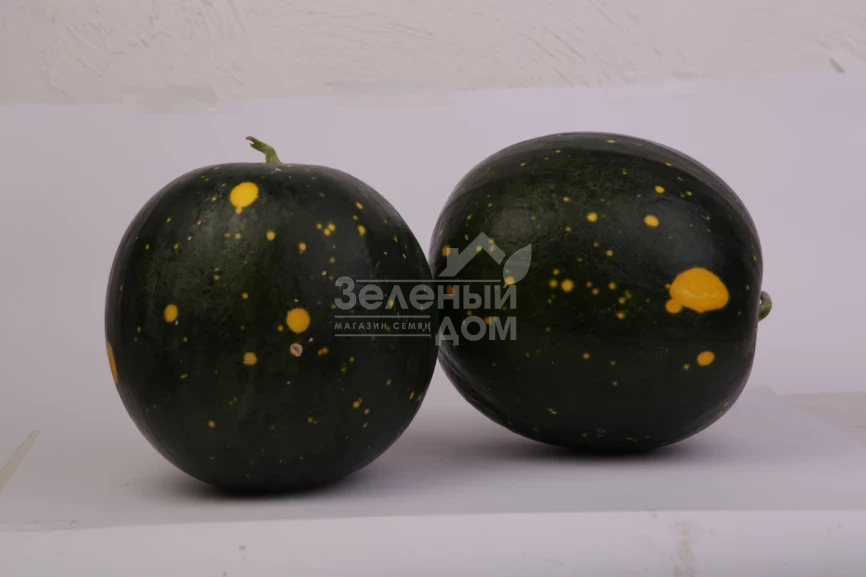 Звездное небо F1 / Zvezdnoe nebo F1 фото 3