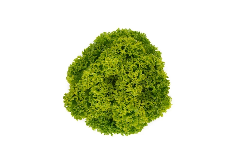 Лисбоа / Lisboa фото 1