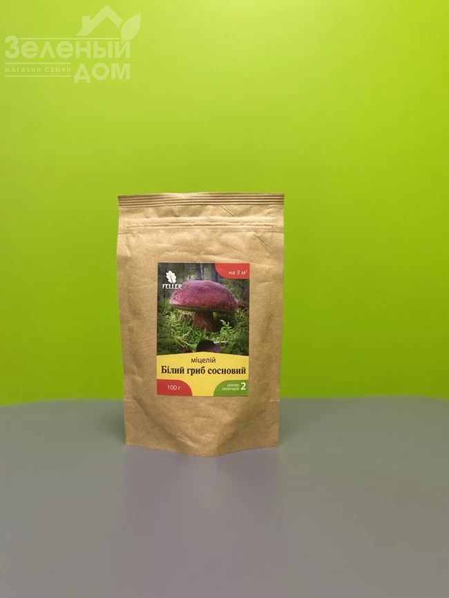 Белый гриб сосновый фото 1