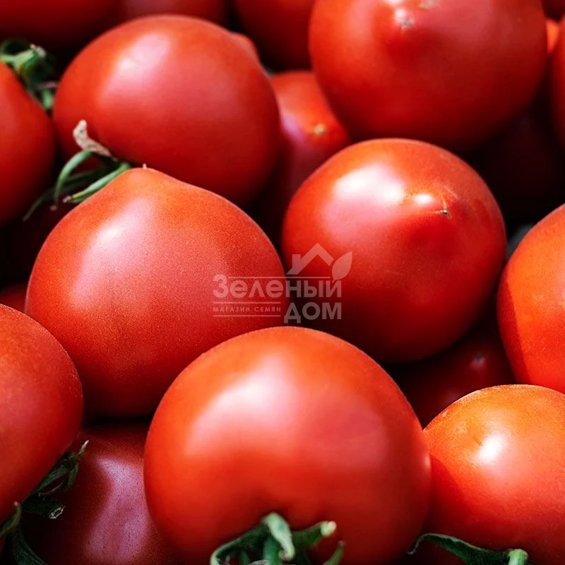 Мелонет F1 / Melonet F1 фото 1