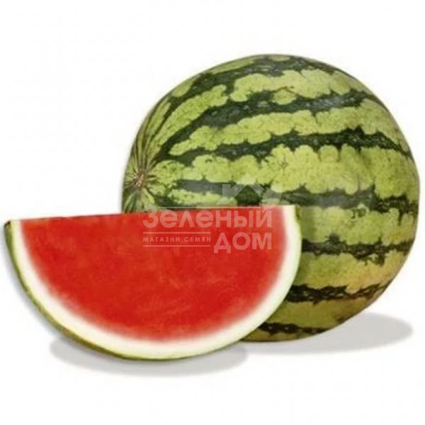 Леопард F1 / Leopard F1 фото 2