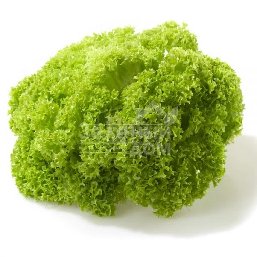 Бартимер / Bartimer фото 1