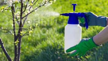 Бордоська рідина. Особливості приготування та застосування