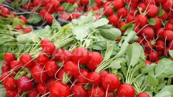 Рекомендації для вирощування гібридів  редису