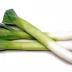 Лук порей