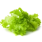 Насіння салату