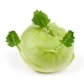 Семена капусты кольраби