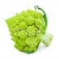 Семена капусты романеско