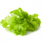 Семена салата