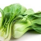 Семена капусты Пак Чой