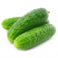 Семена огурцов