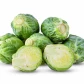 Семена капусты брюссельской