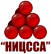 НИЦССА