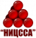 НИЦССА
