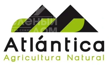Atlantica