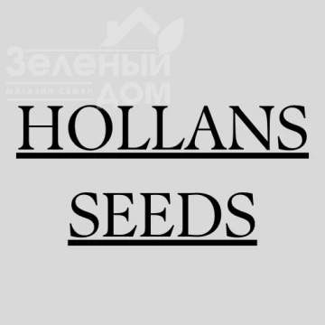 HOLLANS SEEDS