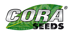 Cora Seeds