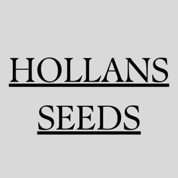 HOLLANS SEEDS