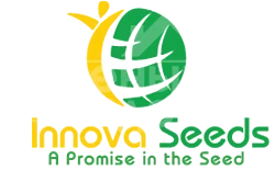 Innova Seeds