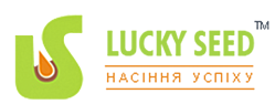 Lucky Seed