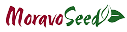 Moravoseed