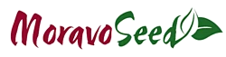 Moravoseed
