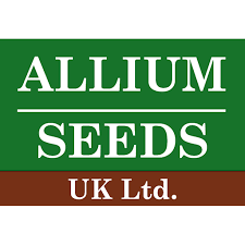 ALLIUM SEEDS