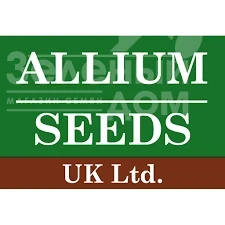 ALLIUM SEEDS