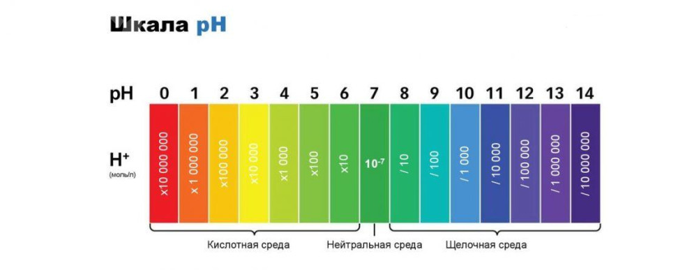 Ph